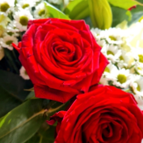 Meet your Posher, Nicola - Picture 1 of 1